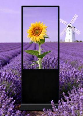 Commercial Floor Standing Digital Signage End Maintenance de l'alimentation électrique / carte mère 529.25*940.89mm